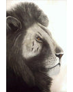 PP1814 / 8 x 12 inch / 20 x 30 cm