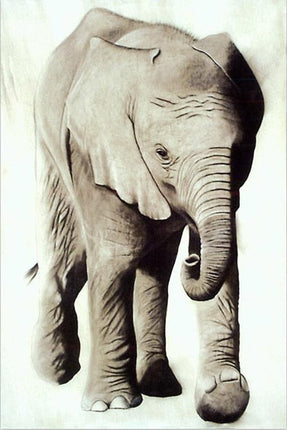 Wild Safari Friends: Cartoon Animal Canvas Poster 