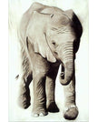 PP1816 / 8 x 12 inch / 20 x 30 cm