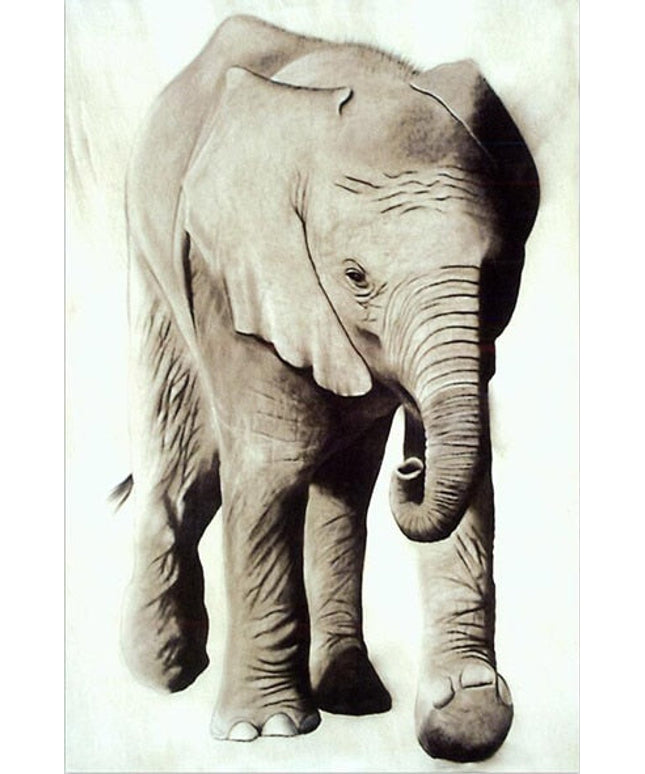 Wild Safari Friends: Cartoon Animal Canvas Poster 