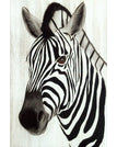 PP1815 / 8 x 12 inch / 20 x 30 cm