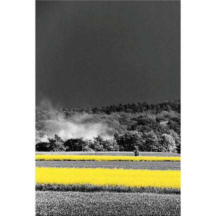 Yellow Landscape Art Canvas Print - Stylish & Artistic Wall Decor for Home or Office