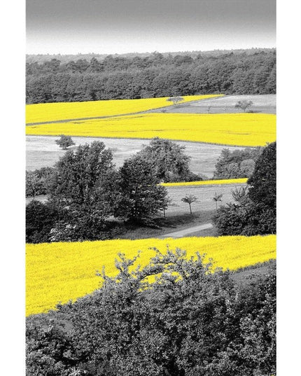 Yellow Landscape Art Canvas Print - Stylish & Artistic Wall Decor for Home or Office