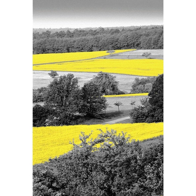 Yellow Landscape Art Canvas Print - Stylish & Artistic Wall Decor for Home or Office